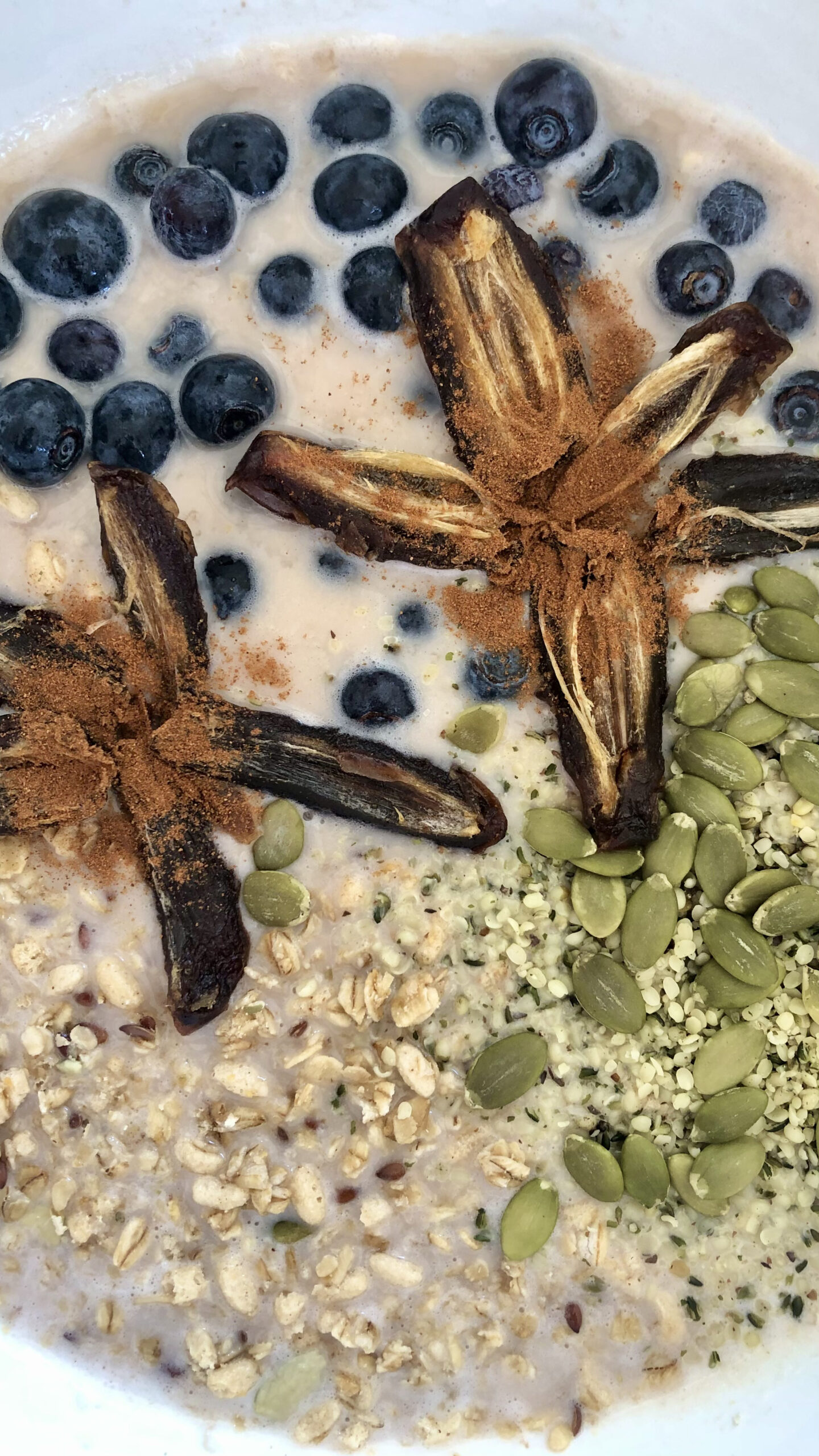 superfood oatmeal with dates and blueberries